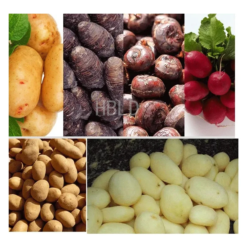 Commercial Multifunctional Pot - مراجعة Commercial Potato Peeler وسعره